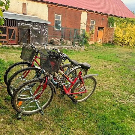 Malinowy Gaj - Agroturystyka Z Alpakami I Innymi Zwierzetami Swietajno  Eksteriør bilde