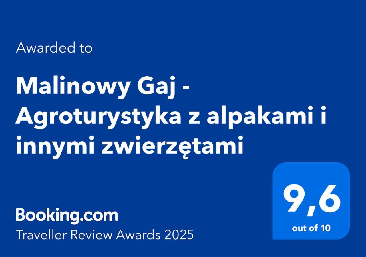 Malinowy Gaj - Agroturystyka Z Alpakami I Innymi Zwierzetami Swietajno  Eksteriør bilde